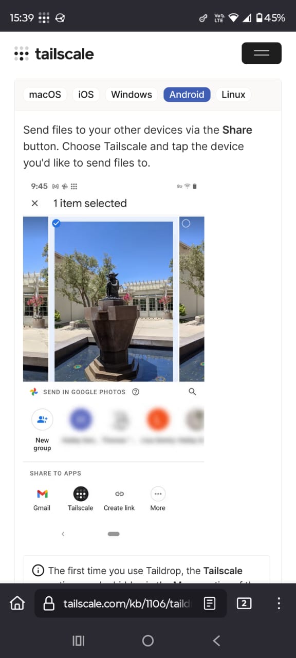 alt text