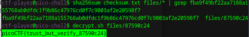 alt text